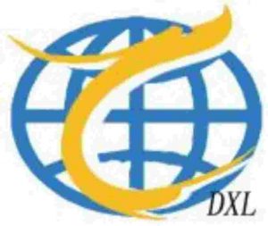 Dongxinlong Petroleum Technology logo