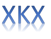 Xinkexun Automation Equipment logo