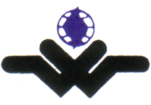 Digital Marketing Systems logo