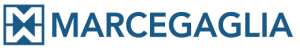 MARCEGAGLIA STEEL SpA logo
