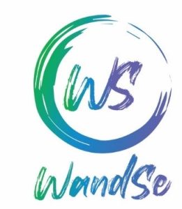 WANDSE SOLUTIONS INDIA PRIVATE LIMITED logo